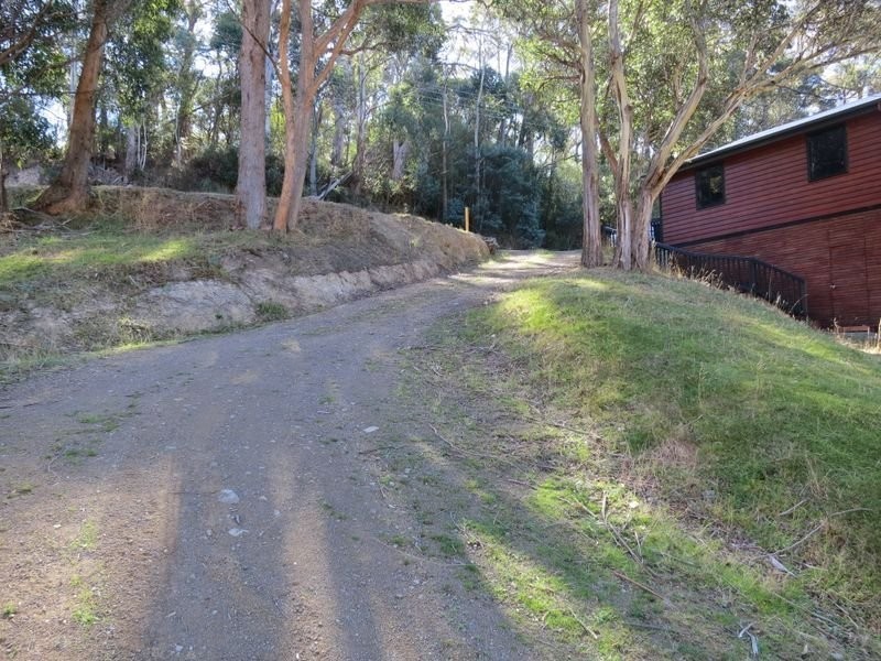 286 Strickland Avenue, South Hobart TAS 7004