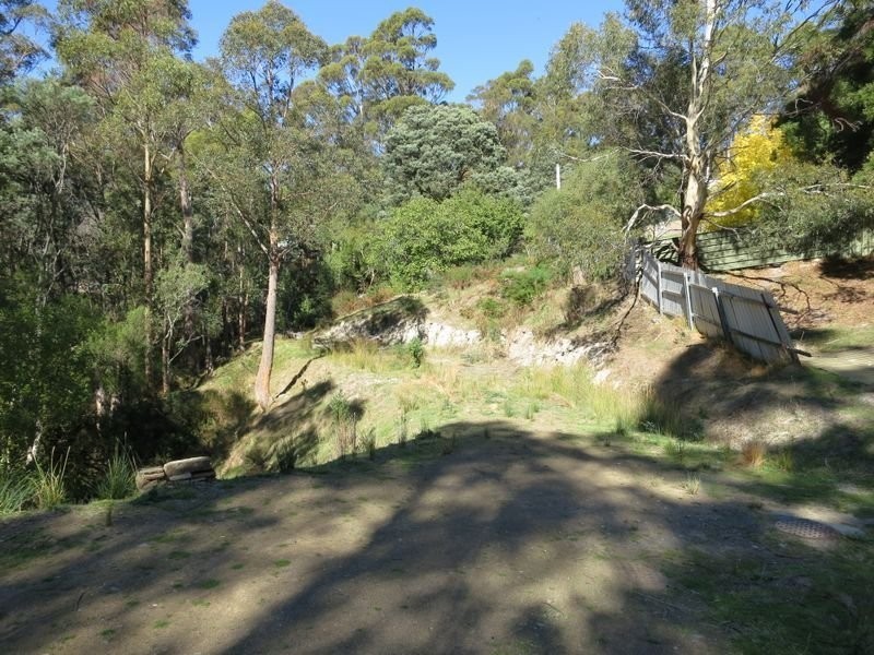 286 Strickland Avenue, South Hobart TAS 7004