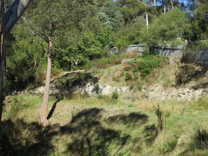 286 Strickland Avenue, South Hobart TAS 7004