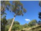 286 Strickland Avenue, South Hobart TAS 7004