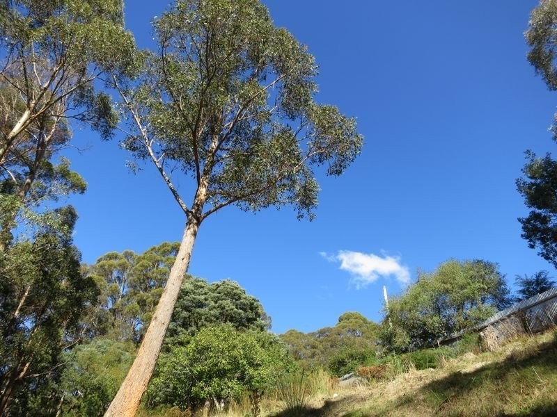 286 Strickland Avenue, South Hobart TAS 7004