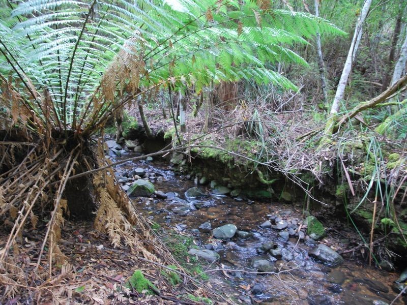 Fern Tree TAS 7054