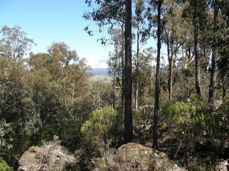 Victoria Valley Rd, London Lakes TAS 7140
