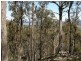 Victoria Valley Rd, London Lakes TAS 7140