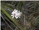 Lilla/Villa Tasman Highway, Bicheno TAS 7215
