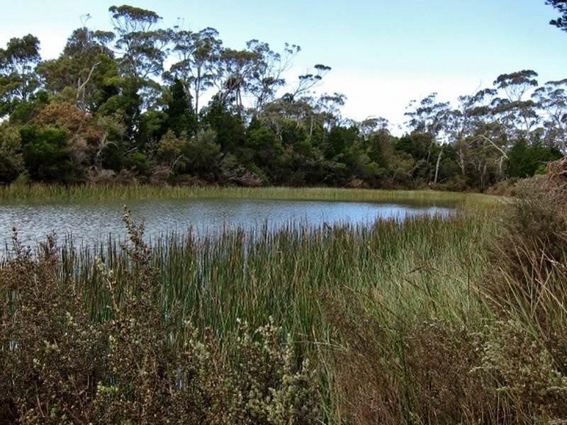 Lilla/Villa Tasman Highway, Bicheno TAS 7215