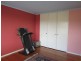 152 Springfield Avenue, West Moonah TAS 7009