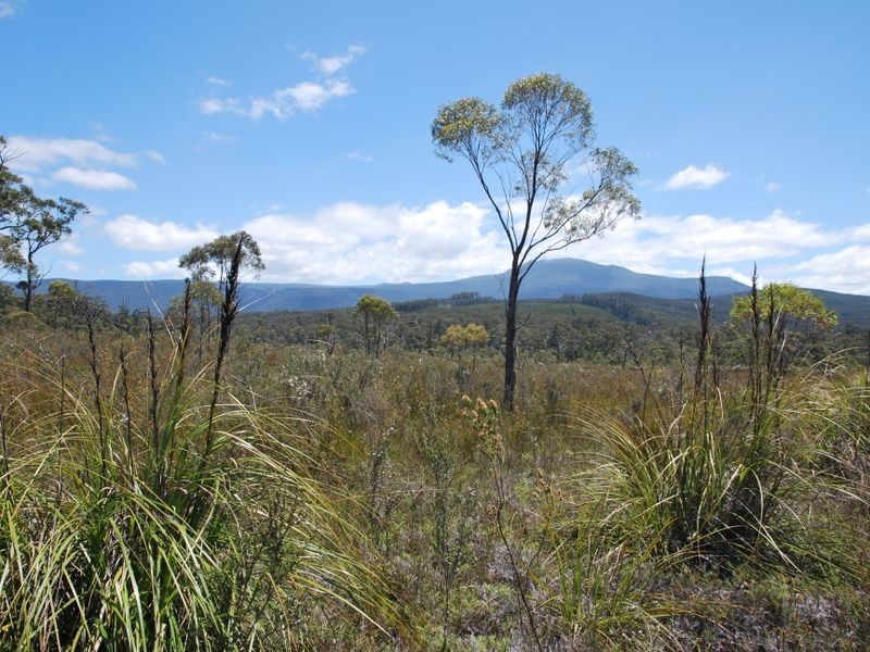 Lune River Road, Lune River TAS 7109