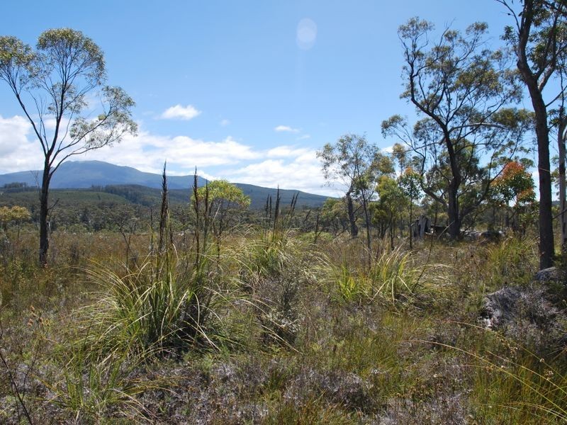 Lune River Road, Lune River TAS 7109
