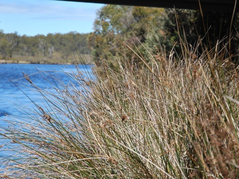 Lune River Road, Lune River TAS 7109