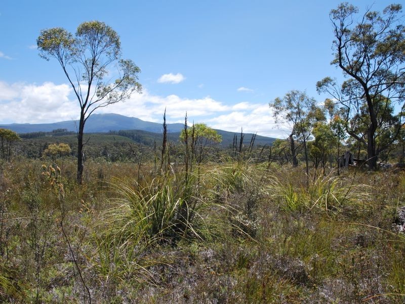 Lune River Road, Lune River TAS 7109