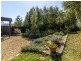 37 Sycamore Road, Risdon Vale TAS 7016