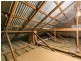 4 Ethelmont Road, Sandy Bay TAS 7005