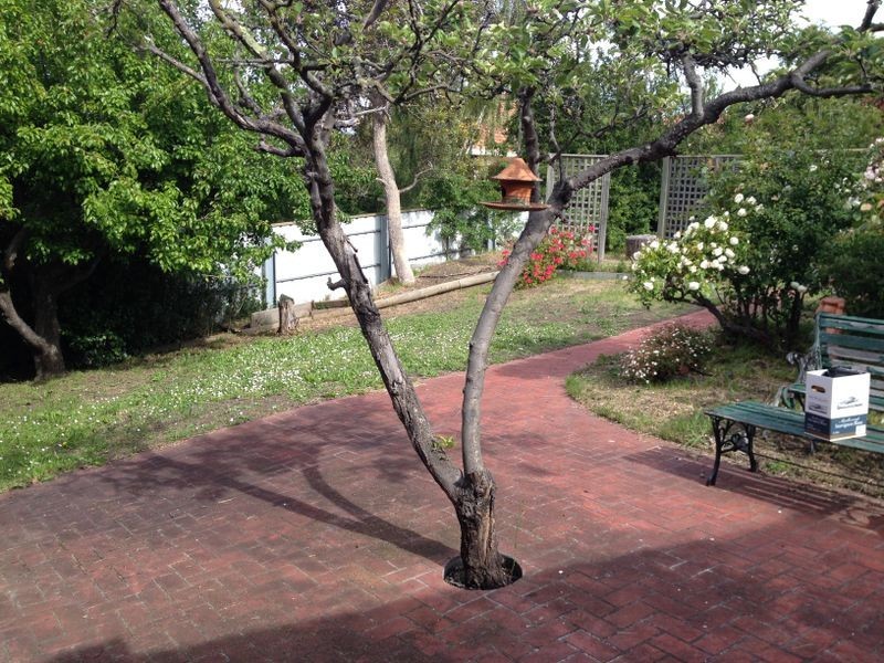 22 Augusta Road, Lenah Valley TAS 7008