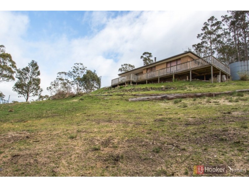 350 Black Hills Road, Black Hills TAS 7140