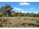 Bluemans Run, Swansea TAS 7190