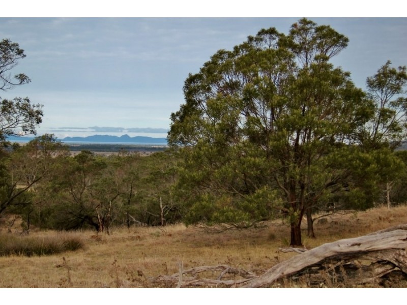 Bluemans Run, Swansea TAS 7190