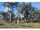 Bluemans Run, Swansea TAS 7190