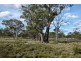 Bluemans Run, Swansea TAS 7190