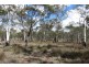 Bluemans Run, Swansea TAS 7190