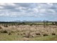 Bluemans Run, Swansea TAS 7190