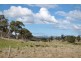 Bluemans Run, Swansea TAS 7190