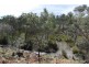 Bluemans Run, Swansea TAS 7190
