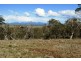 Bluemans Run, Swansea TAS 7190