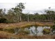 Bluemans Run, Swansea TAS 7190