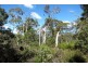 Bluemans Run, Swansea TAS 7190