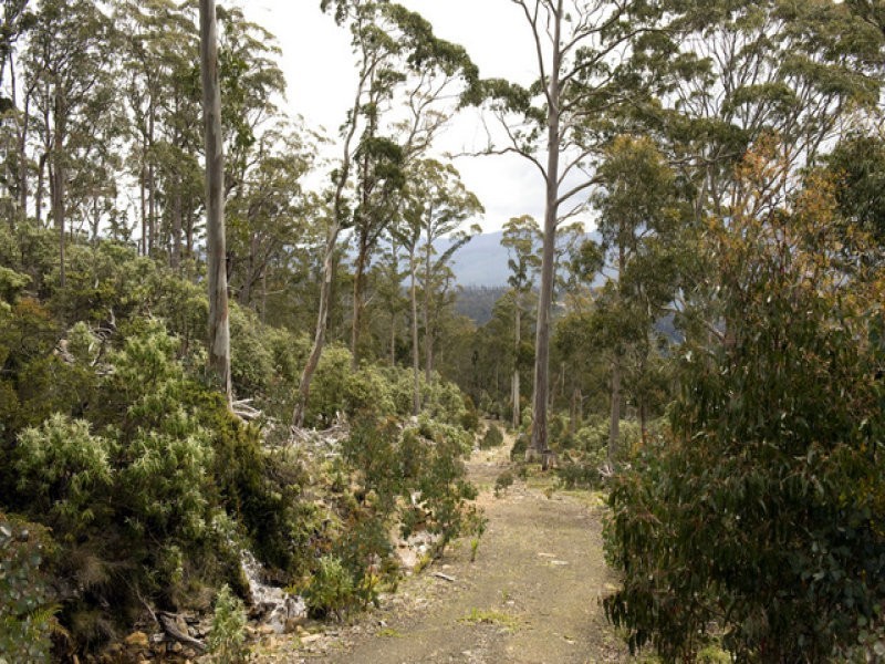 Schulhofs Road, Blessington TAS 7212