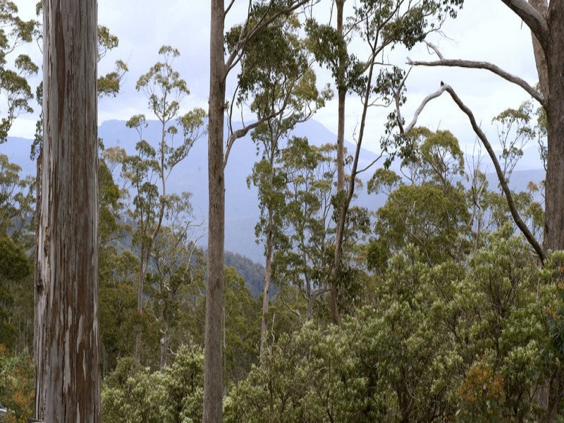 Schulhofs Road, Blessington TAS 7212