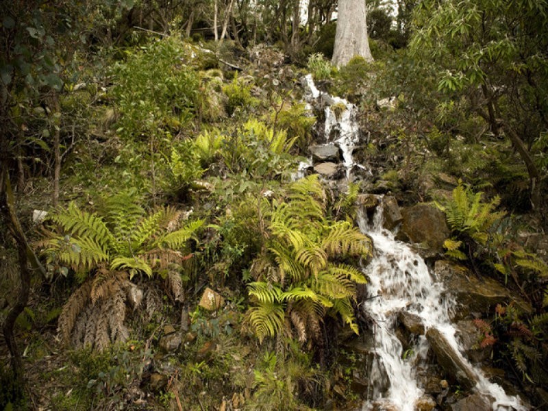 Schulhofs Road, Blessington TAS 7212