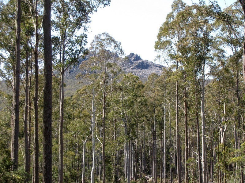 Schulhofs Road, Blessington TAS 7212