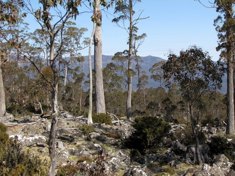 Schulhofs Road, Blessington TAS 7212