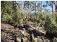 Schulhofs Road, Blessington TAS 7212