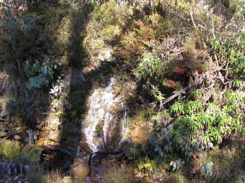 Schulhofs Road, Blessington TAS 7212