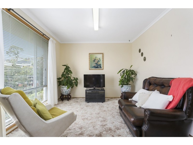 7 Sunvale Avenue, Sandy Bay TAS 7005