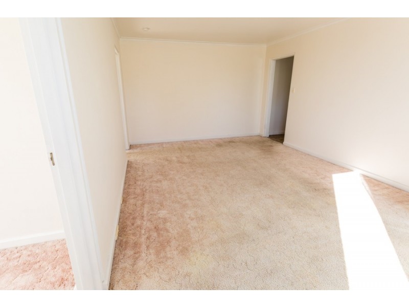 11/14 Ashfield Street, Sandy Bay TAS 7005