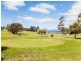 14 Franklin Street, Swansea TAS 7190