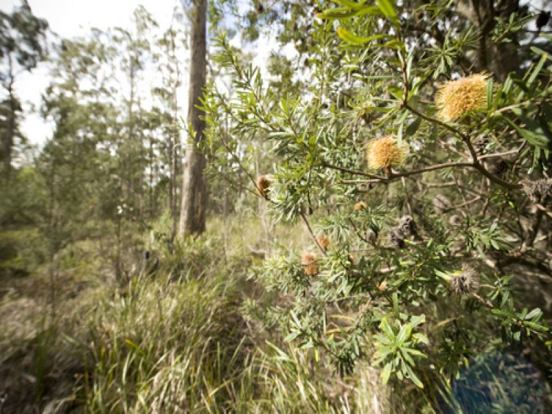Greens Beach Road, Clarence Point TAS 7270