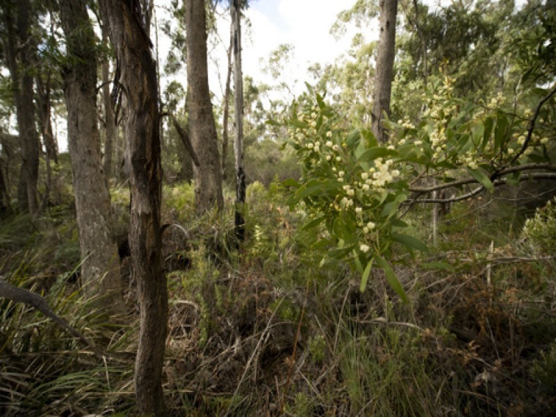 Greens Beach Road, Clarence Point TAS 7270