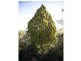 Greens Beach Road, Clarence Point TAS 7270