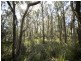 Greens Beach Road, Clarence Point TAS 7270