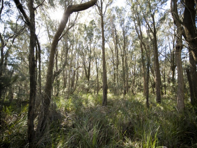Greens Beach Road, Clarence Point TAS 7270