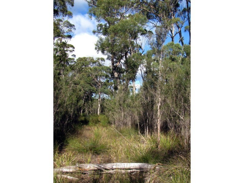 Greens Beach Road, Clarence Point TAS 7270