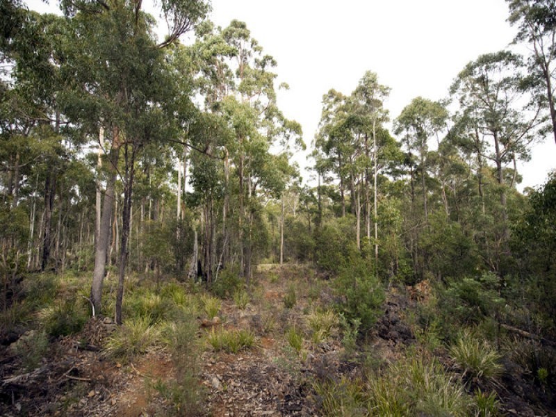 Prossers Road, Nunamara TAS 7259