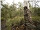 Prossers Road, Nunamara TAS 7259