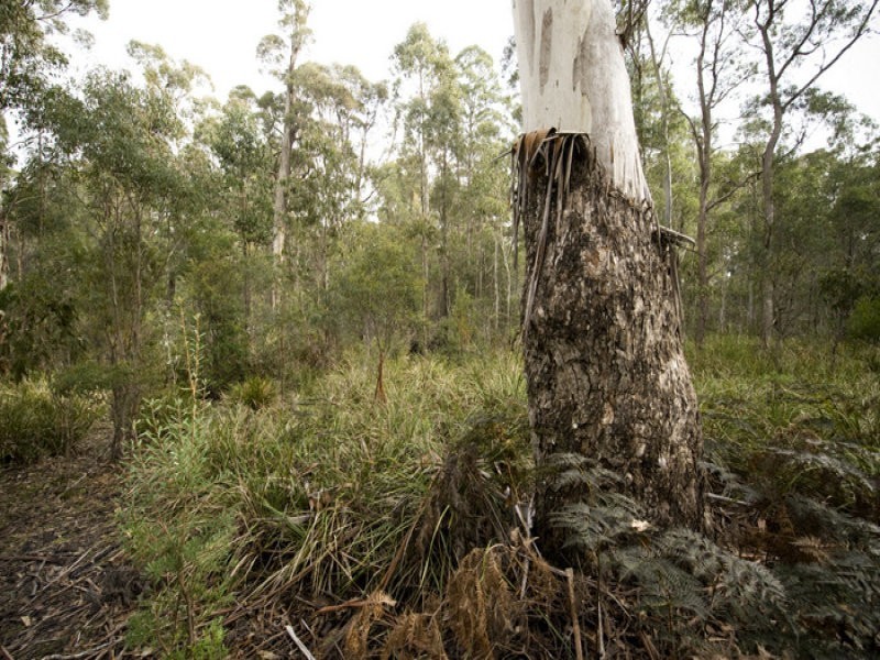Prossers Road, Nunamara TAS 7259