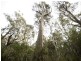 Prossers Road, Nunamara TAS 7259